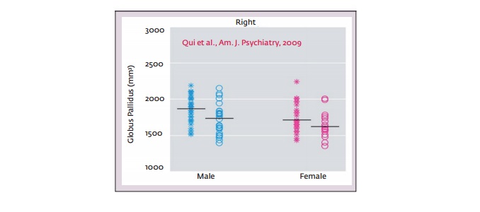 red-de-diagnose-adhd