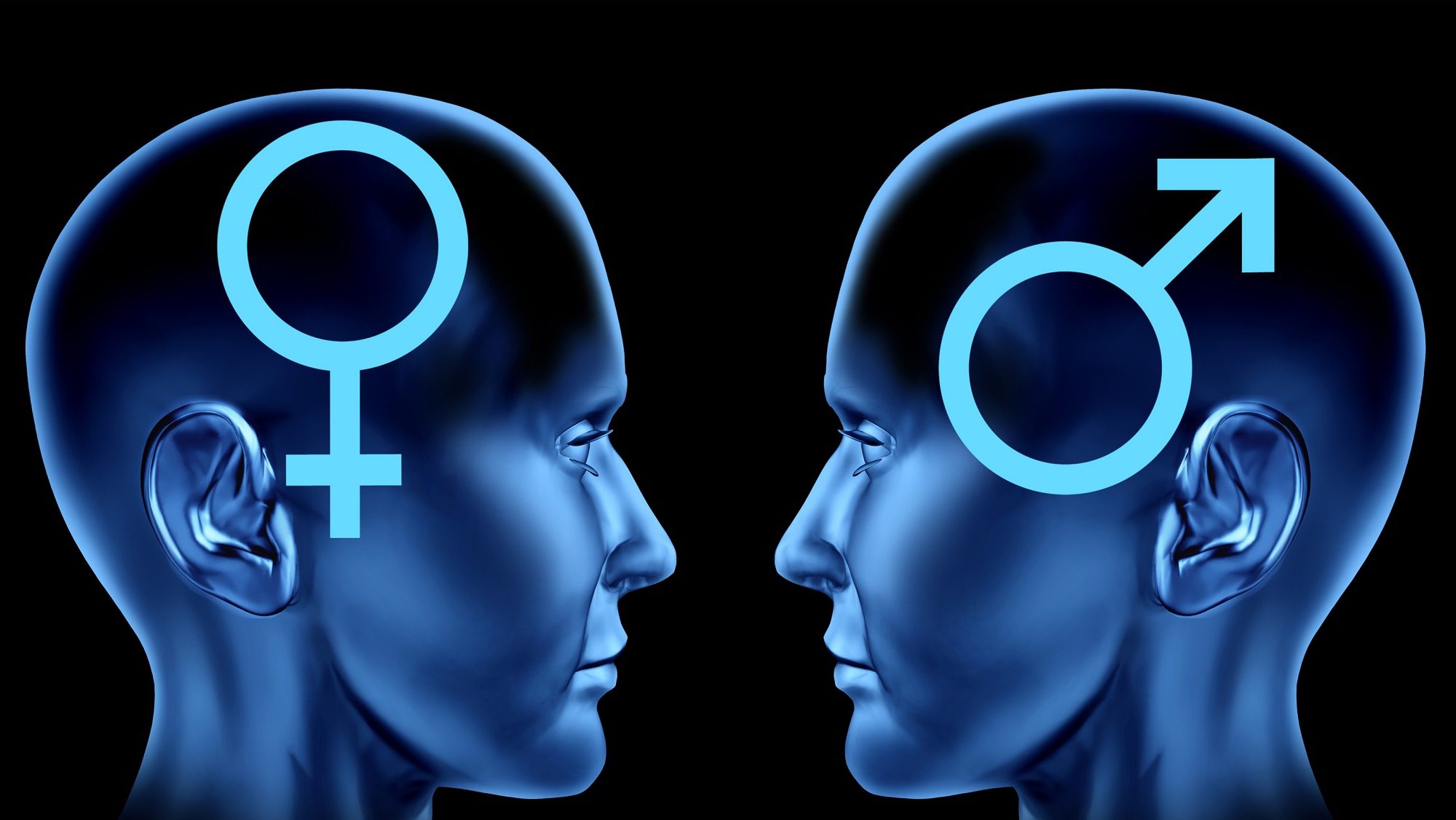 Mannen- en vrouwenbreinen | De Psycholoog